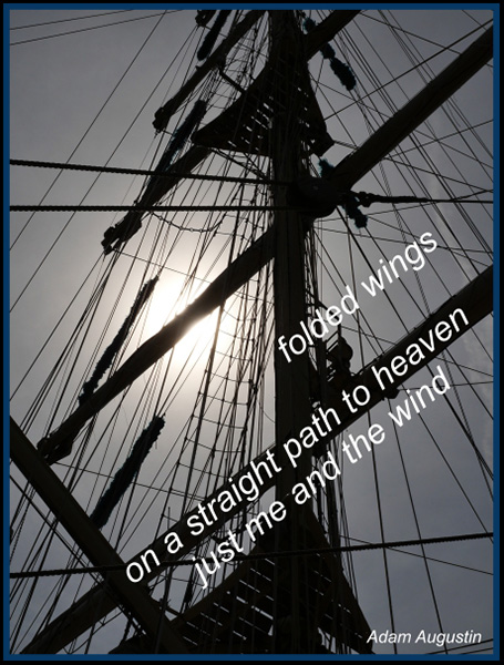 'folded wings / on a straight path to heaven / just me and the wind' by Adam Augustin
