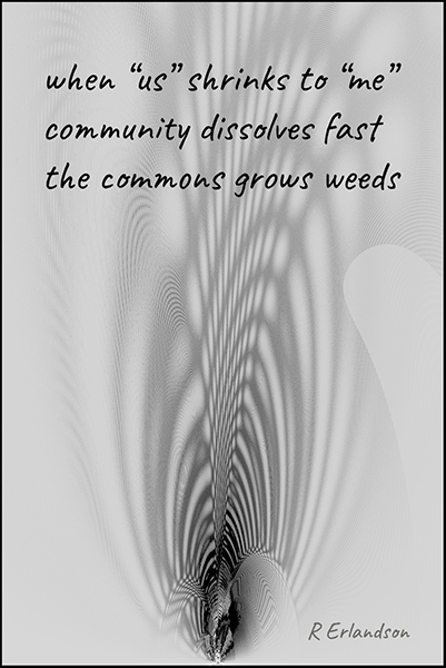'when 'us' shrinks to 'me' / community dissolves fast / the commons grows weeds
