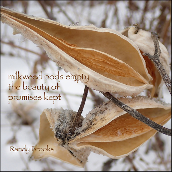 'milkweed pods empty / the beauty of / promises kept' by Randy Brooks. Art byTom Clausen ''milkweed pods empty / the beauty of / promises kept' by Randy Brooks. Art byTom Clausen