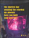 'the shortest day / awaiting the renewal / my phoenix / have ou built your nest yet? " BY Djurdja Rozic