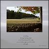 'watching / through fading light / at all that formed the day / as we slowly approach the door / of night' by Dan Hardison