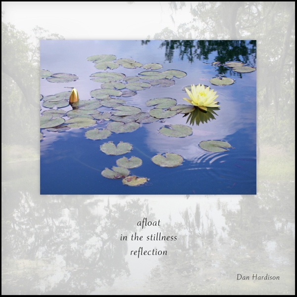 'afloat / in the stillness / a reflection' by Dan Hardison 'afloat / in the stillness / a reflection' by Dan Hardison