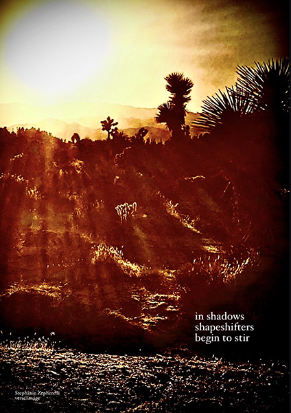 'in shadows  / shapeshifters / begin to stir' by Stephanie Zepherelli