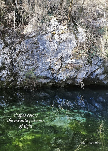 'shapes colours / the infinite patience / of light' by Luciana Moretto