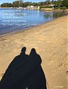 a couple stand / looking the view / as their shadows  /   merge into history... / the times they were so close' by Margaret Ruckert
