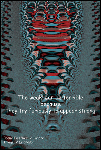 'the weak can be terrible / because / they try furiously to appear strong' by Robert Erlandson, Poem Fireflies by R Tagore