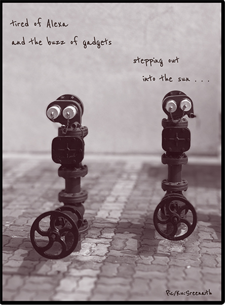 'tired of alexa / and the buzz of gadgets / stepping out / into the sun' by Sreenath Mysore