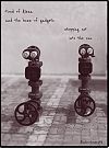 'tired of alexa / and the buzz of gadgets / stepping out / into the sun' by Sreenath Mysore