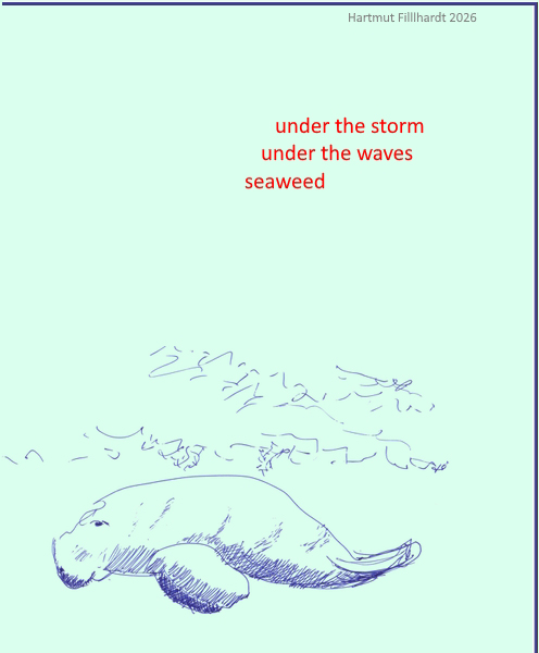 'under the storm / under the waves / seaweed' by Hartmut Fillhardt 
