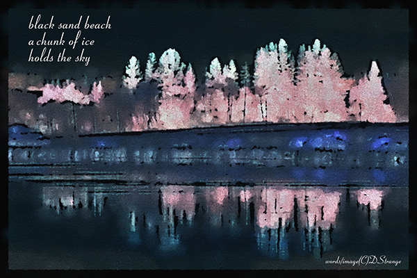 'black sand beach / a chunk of ice / holds the sky' by Debbie Strange. Haiku first published in Seashores 12, 2025