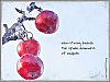'rain-strung branches / the upside-downess / of redpolls' by Debbie Strange. Geppo L:2 2025
