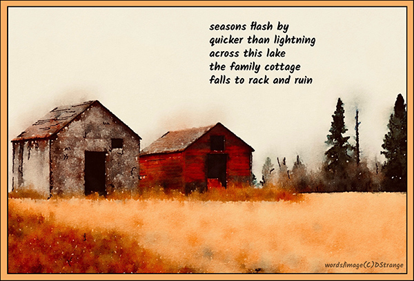 'seasons flash by / quicker than lightening / across this lake / the family cottage / falls to rack and ruin/ by Debbie Strange. Tanka first published in Quail Egg Tanka Journal 3, 2025 'seasons flash by / quicker than lightening / across this lake / the family cottage / falls to rack and ruin/ by Debbie Strange. Tanka first published in Quail Egg Tanka Journal 3, 2025
