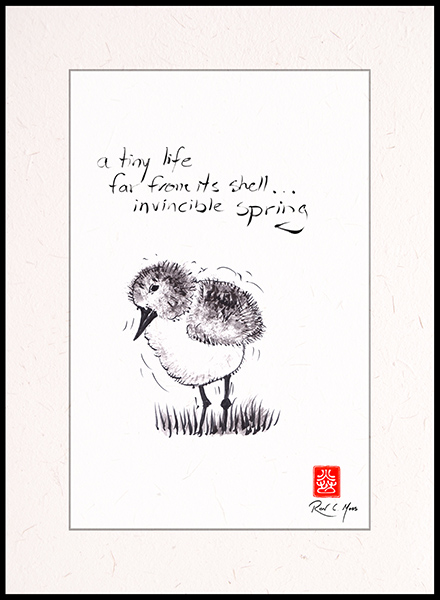 'a tiny life / far from the shell... / invincible spring' by Ron Moss
