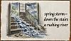 'spring storm— / down the stairs / a rushing river' by Subhash Chodhury