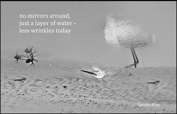 'no mirrors around / just a layer of water— / less wrinkles today' by Lavana Kray