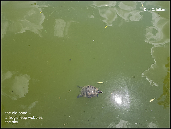 'the old pond— / a frog's leap / wobbles the sky' by Dan Iulian 'the old pond— / a frog's leap / wobbles the sky' by Dan Iulian