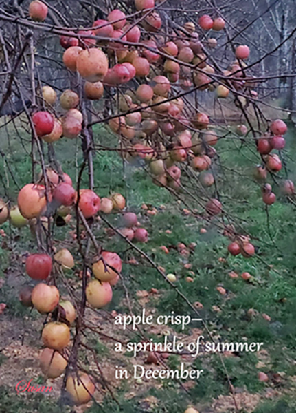 'apple crisp— / a sprinkle of summer / in December' by Susan Roberts 'apple crisp— / a sprinkle of summer / in December' by Susan Roberts