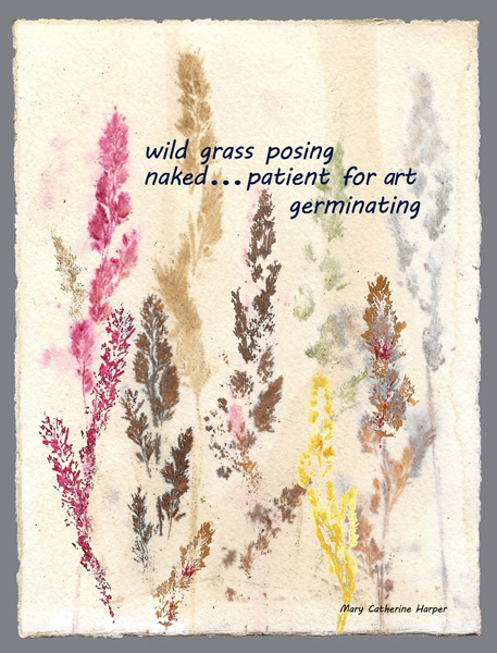 'wild grass posing / naked—patient for art / germinating' by Mary Catherine Harper 'wild grass posing / naked—patient for art / germinating' by Mary Catherine Harper