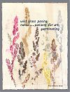 'wild grass posing / naked—patient for art / germinating' by Mary Catherine Harper