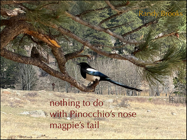 'nothing to do / with Piinocchio's nose / magpie's tail' by Randy Brooks. Art by Stephanie Lawson 'nothing to do / with Piinocchio's nose / magpie's tail' by Randy Brooks. Art by Stephanie Lawson