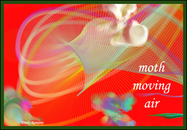 'moth / moving / air' by Emily Romano