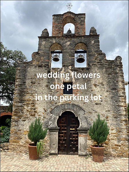 'wedding flowers / one petal / in the parking lot' by Travis Park 'wedding flowers / one petal / in the parking lot' by Travis Park