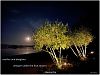 'mother and daughter / whisper under the fruit moon /  menarche' by George Skane