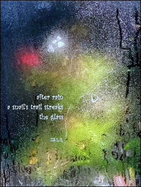 'after rain / a snail's trail streaks / the glass' by Zsolt Rakusz
