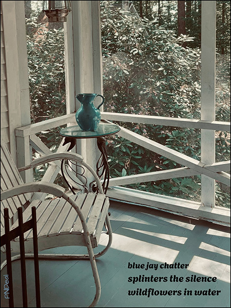 'blue jay chatter / splinters the silence / wildflowers in water' by Patricia Deal