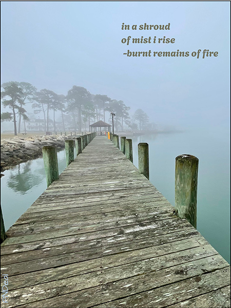 'in  shroud / of mist i  rise / —burnt remains of fire' by Patricia Deal
