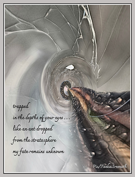 'trapped / in the depths of your eyes... / like an ant dropped / from the stratosphere / my fate remains unknown' by Sreenath Mysore 'trapped / in the depths of your eyes... / like an ant dropped / from the stratosphere / my fate remains unknown' by Sreenath Mysore