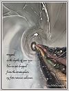 'trapped / in the depths of your eyes... /  like an ant dropped / from the stratosphere / my fate remains unknown' by Sreenath Mysore