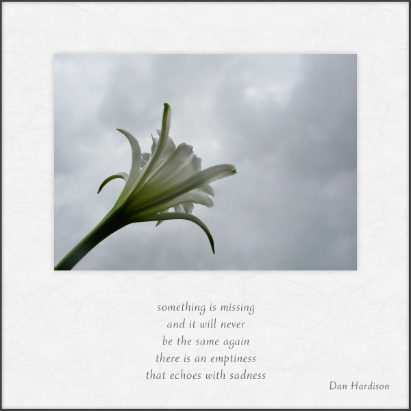 'something is missing / and it will never / be the same again / there is an emptiness / that echoes with sadness' by Dan Hardison