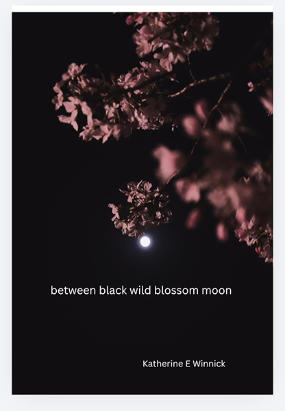'between black wild blossom moon' by Katherine Winnick. Art by unsplash 'between black wild blossom moon' by Katherine Winnick. Art by unsplash