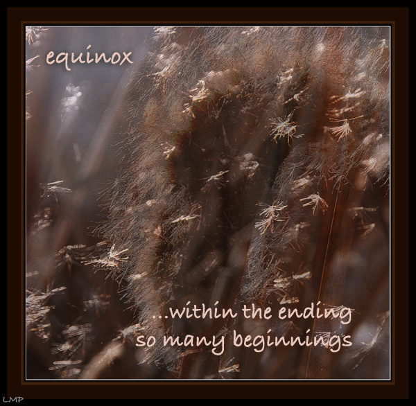 equinox  / ... within the ending / so many beginnings' by Linda Pilarski