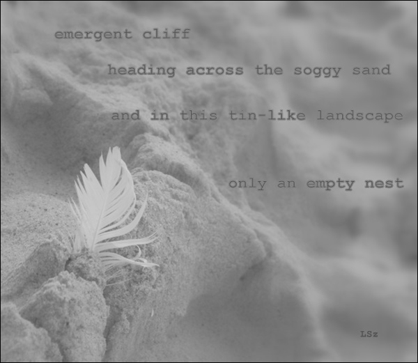 "emergent cliff / heading across the soggy sand / and in this tin-like landscape / only an empty nest' by Leszek Szeglowski