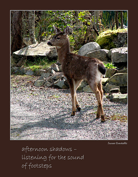 'afternoon shadows— / listening for the sound / of footsteps' by Susan Constable. Art by David Constable