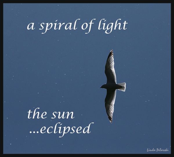 'a spiral of light / the sun / ...eclipsed' by Linda Pilarski