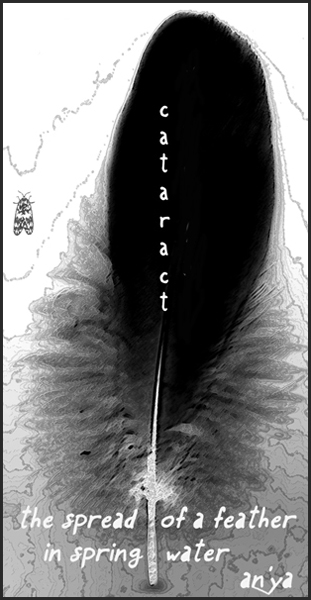 'cataract / the spread of a feather / in spring water' by an'ya