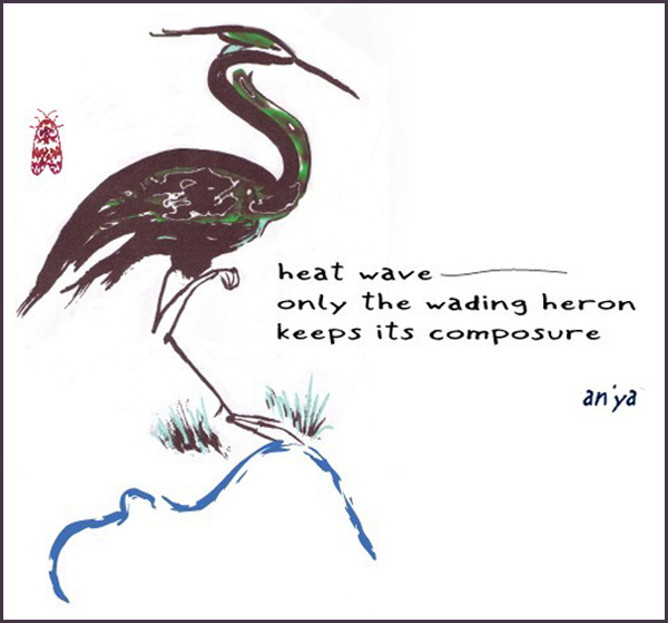 'heat wave— /  only the wading heron / keeps its composure' by an'ya