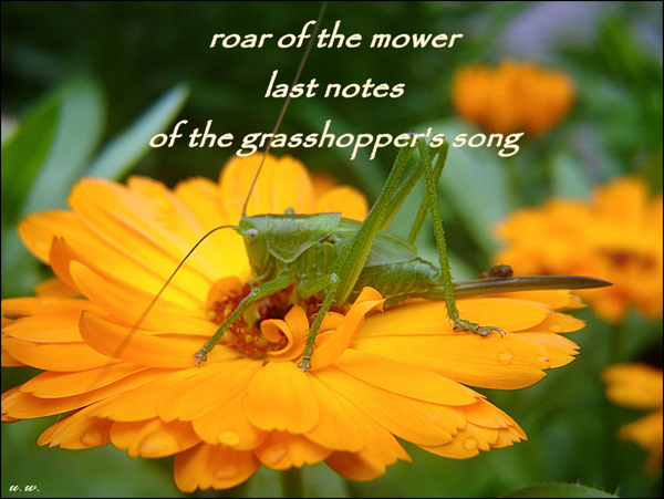 'roar of the mower / last notes / of the grasshopper's song' by Urszula Wielanowska.