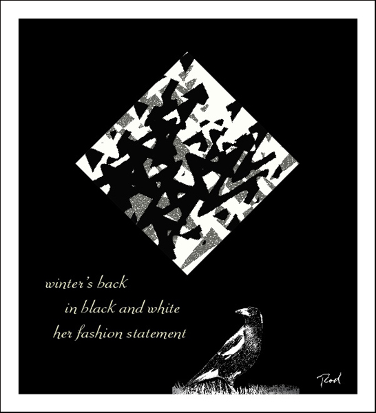 'winter's back / in black and white / her fashion statement' by Rod Tinniswood