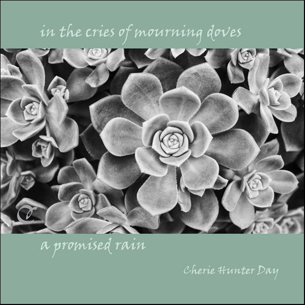 'in the cries of mourning doves / a promised rain' by Cherie Hunter Day