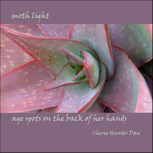 'moth light /  age spots on the back of her hands' by Cherie Hunter Day