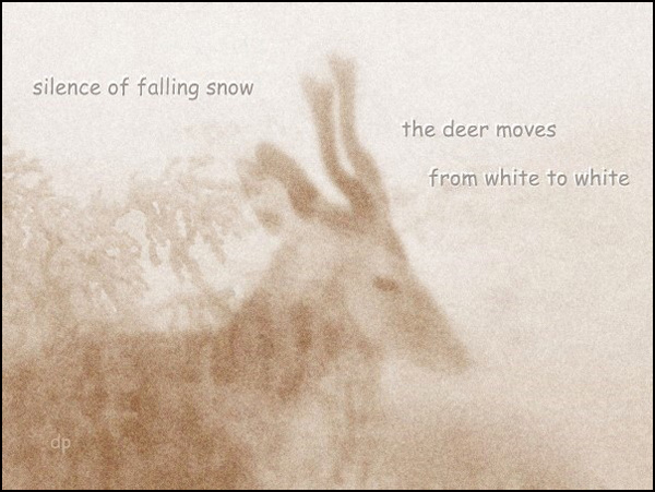 'silence of falling snow / the deer moves / from white to white' by Dorota Pyra