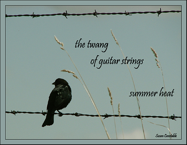 'the twang / of guitar strings / summer heat' by Susan Constable