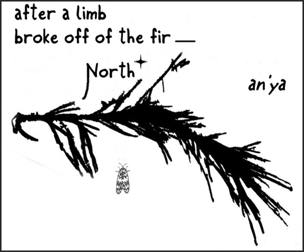 'after a limb / broke off the fir— / north *' by an'ya