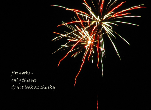'fireworks— / only thieves / do not look at the sky' by Robert Nowak.