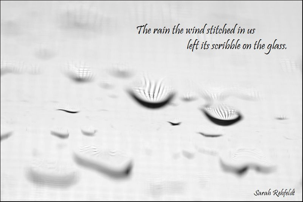 'The rain the wind stitched in us / left its scribble on the glass' by Sarah Rehfeldt.