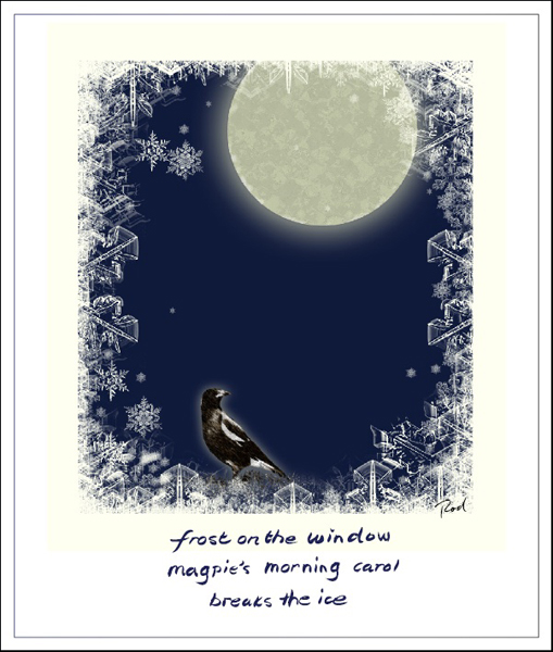 'frost on the window / magpie's morning carol / breaks the ice' by Rod Tinniswood.